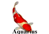 Aquarius