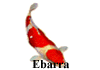 Ebarra