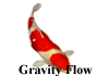 Gravity Flow