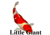 Little Giant