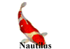 Nautilus