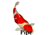 Pipe