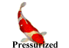 Pressurized