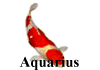 Aquarius