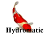 Hydromatic