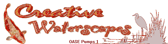 OASE Pumps 1