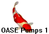 OASE Pumps 1