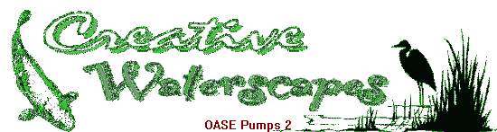 OASE Pumps 2