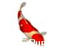 OASE Pumps 2